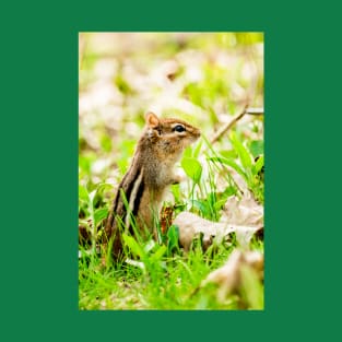 Curious Little Chipmunk in the Grass Photograph T-Shirt