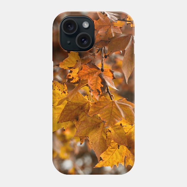 Autumn days Phone Case by CarlaSophia