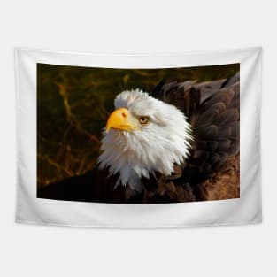 Bald Eagle in Splendor Tapestry