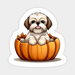 Shih Tzu Dog inside Pumpkin #1 Magnet