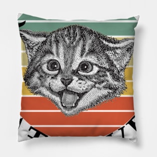 Crazy cat lover Pillow