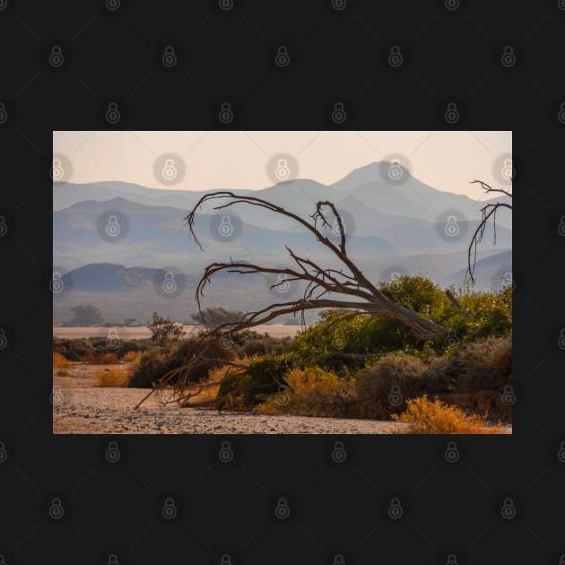 Namibia. Dead Tree with the Mountain Silhouettes. by vadim19