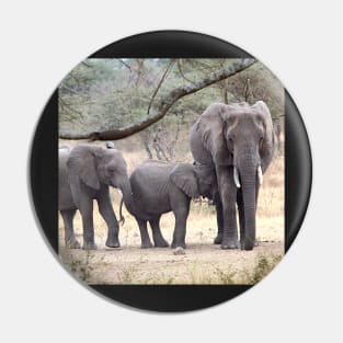 African Elephants, Serengeti National Park, Tanzania. Pin