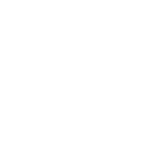 St. Paddy's Day: Irish Warrior Magnet