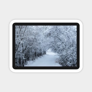 Wintery trail. Magnet