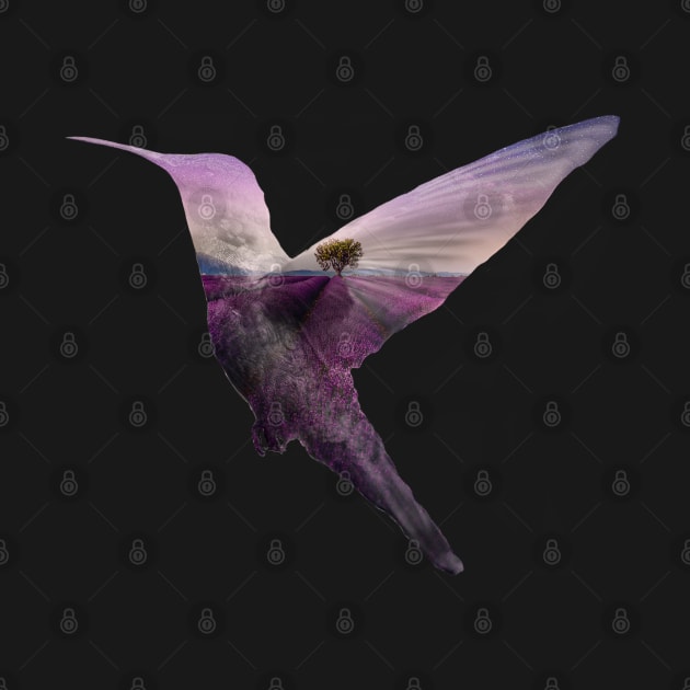 Lavender Hummingbird by AshStore