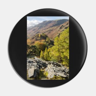 Castle Crag outlook Pin