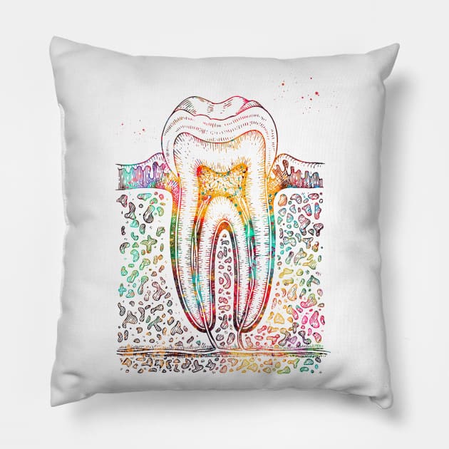 Tooth diagram Pillow by erzebeth