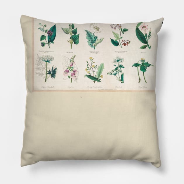 Vintage Poisonous Narcotics Pillow by Craftee Designs