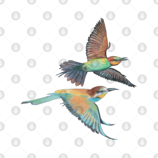 Bee-eater in Flight Illustration by Julia Doria Illustration