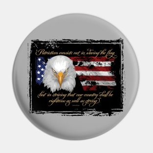 Righteous Patriotism (American pride) - a thoughtful USA tribute Pin