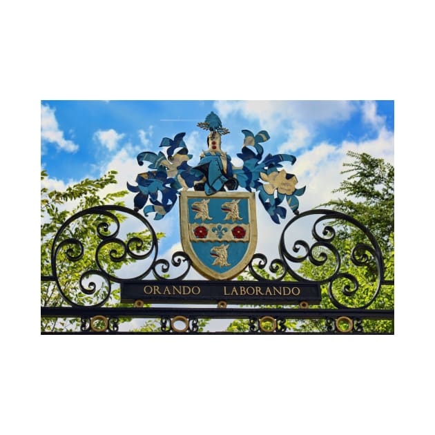 Rugby school coat of arms Coat Of Arms TShirt TeePublic