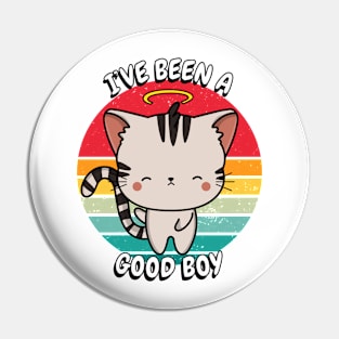 Cute Tabby cat is a good boy Pin