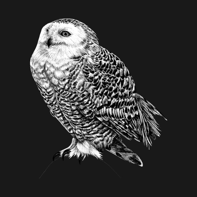 Snowy Owl - black and white animal illustration by lorendowding