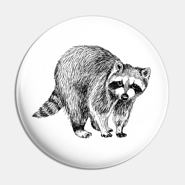 Raccoon Illustration - Raccoon - Pin | TeePublic Raccoon Illustration - Raccoon - Pin | TeePublic