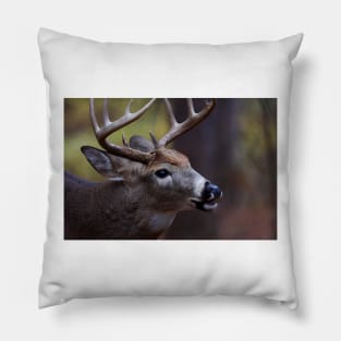 Big 10-pointer - White-tailed Deer Pillow