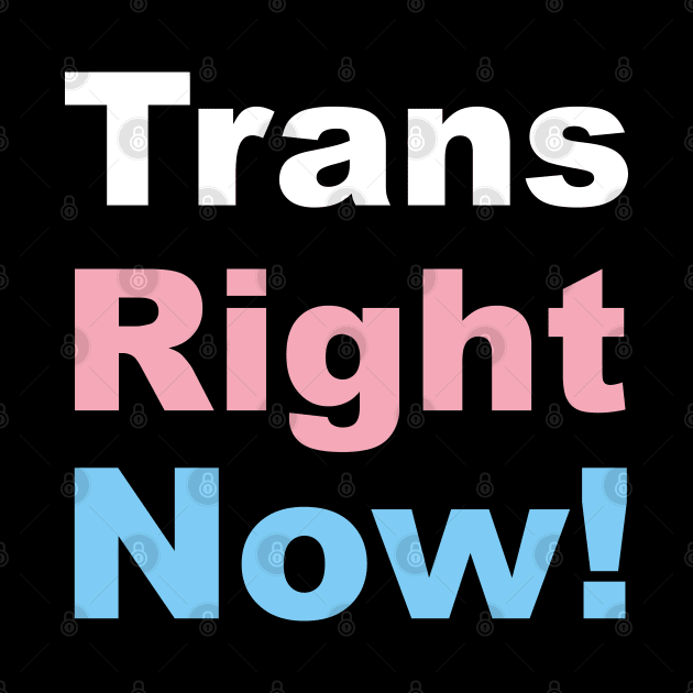 Trans Right Now! Transgender Rights by Irene Koh Studio