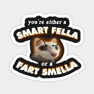 Smart Fella Cat Meme Magnet