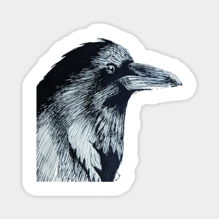 Raven of Interest Magnet