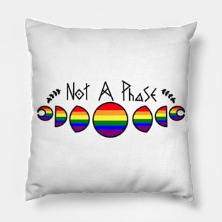 Not A Phase- Gay Pillow