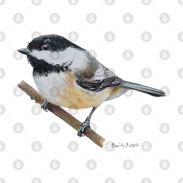 Chickadee drawing 5 by EmilyBickell