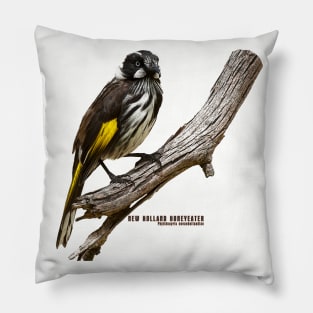 New Holland Honeyeater_01C Pillow