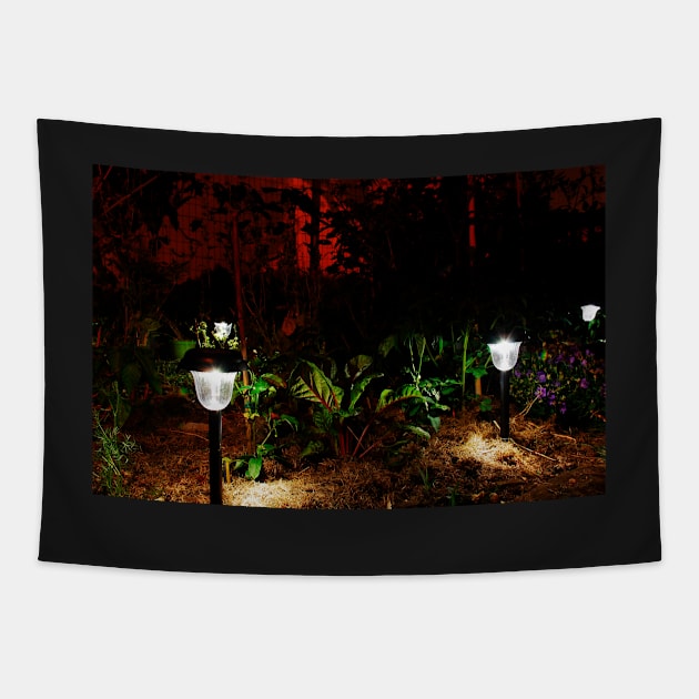 Garden Solar Lights in the Dark Tapestry by jojobob