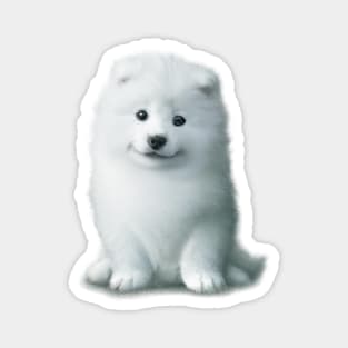 Cute Samoyed Drawing Magnet