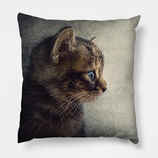 little tomcat Pillow