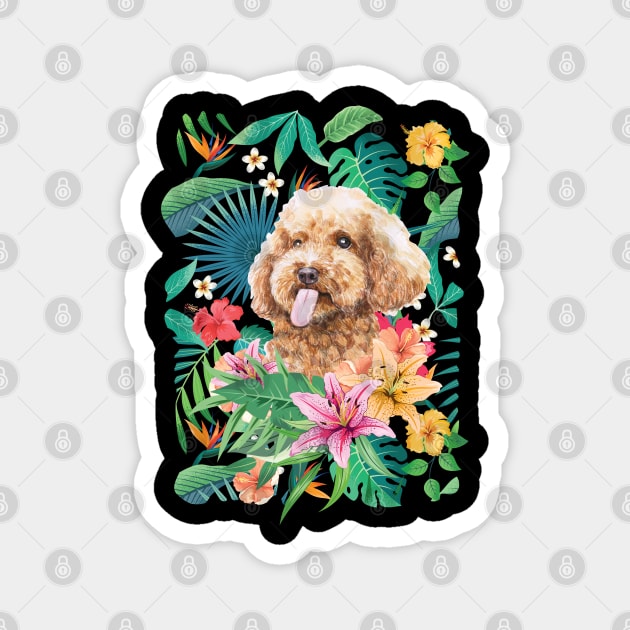 Tropical Apricot Toy Poodle 2 Magnet by LulululuPainting