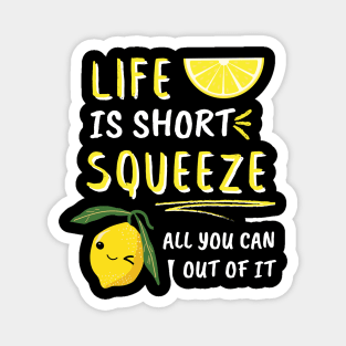 Life Is Short Squeeze All You Can Out Of It Funny Sayings Magnet