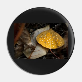 Aspen Fall Leaf Pin