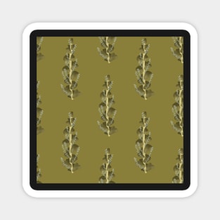 Knifeleaf Wattle Leaves Dark Green Magnet