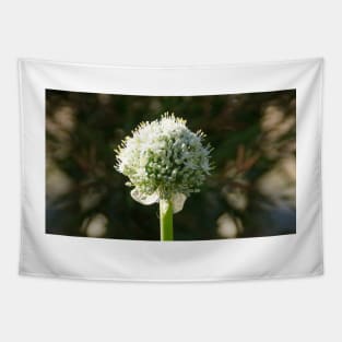 White Onion Flower by Avril Thomas Tapestry