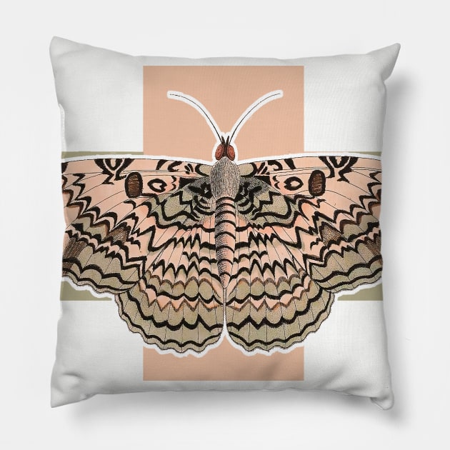 Pink butterfly Pillow by Marccelus