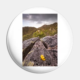 Yellow Flower Pin