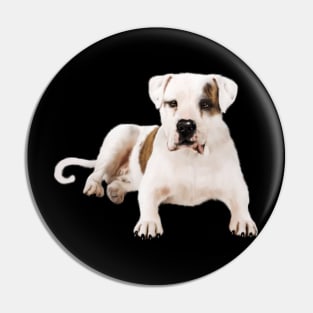 Bull Dog Lover, Bulldogs Pin