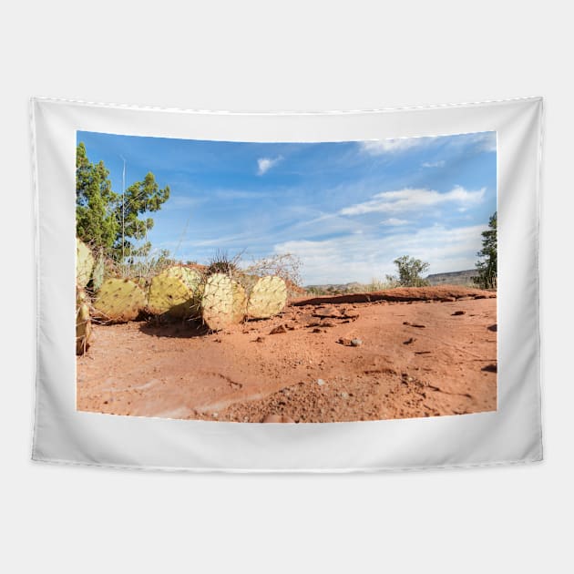 Desert Scene Tapestry by brians101