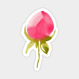 watercolor rose Magnet