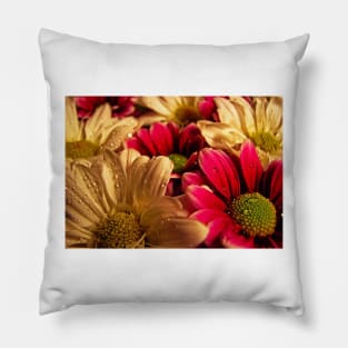 Wet Flowers Pillow