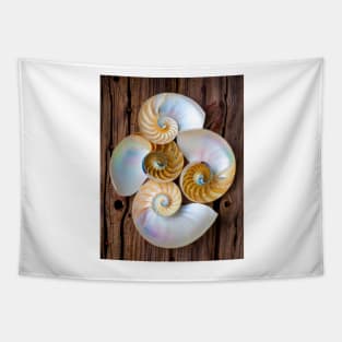 Natures Four Chambered Nautilus Seashells Tapestry