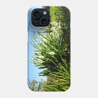 Sun Shines on Fully Bloomed Snowdrops Phone Case