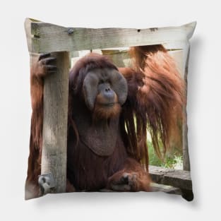 Orangutan Portrait Pillow