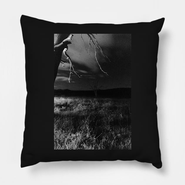 Into the night Pillow by DeborahMcGrath