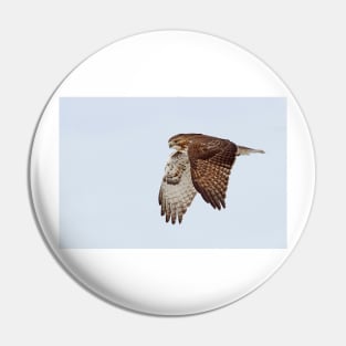 Red-tailed Hawk Pin