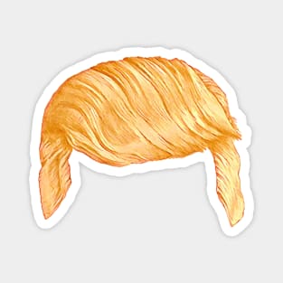 Trump's Talking Hair Magnet