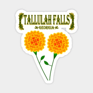 Tallulah Falls Georgia Magnet