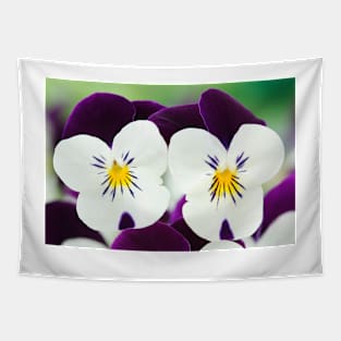 Viola  Rocky White with Purple Wings  Rocky series Tapestry