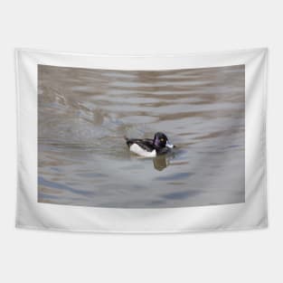 Ring-Necked Duck Tapestry