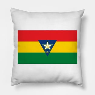Socialist Tropican flag (iteration 4) Pillow